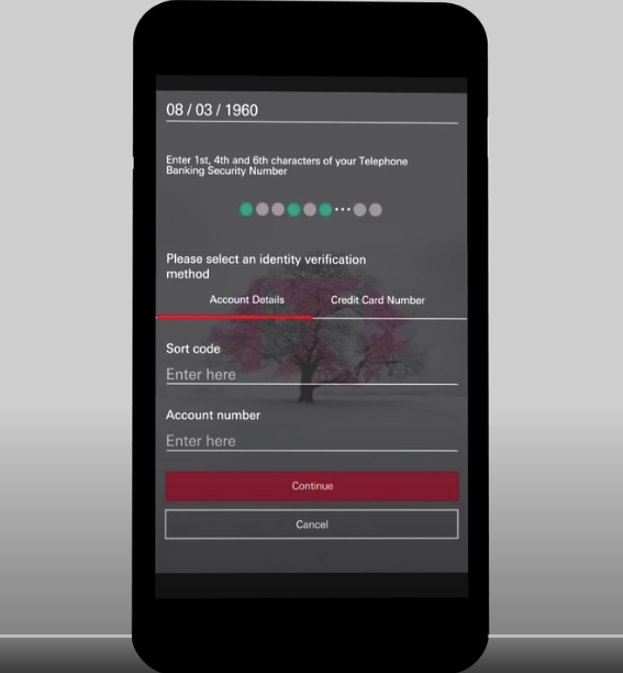 Příklad zadávání hesla HSBC