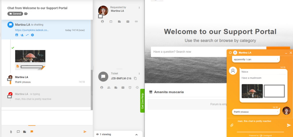 LiveAgent - náhled psaní v reálném čase