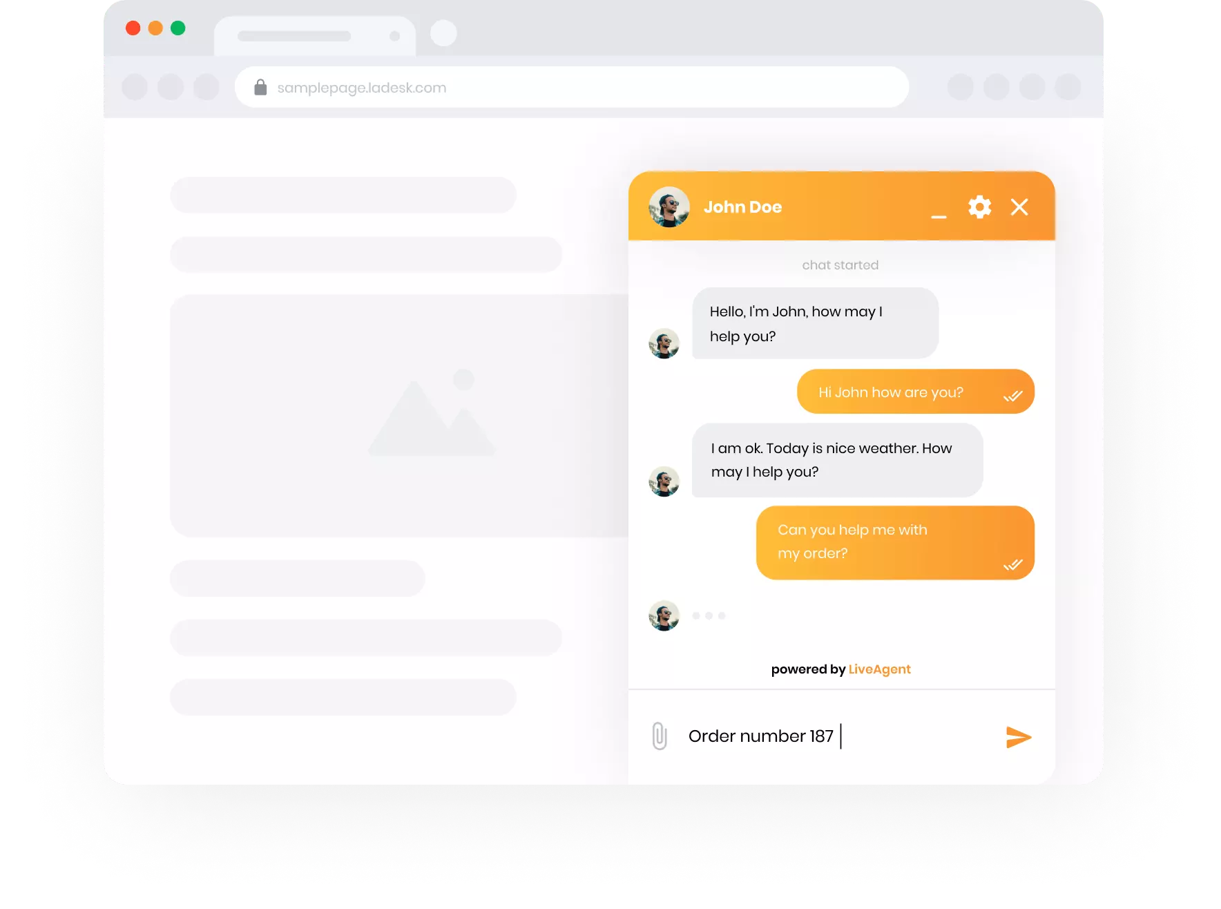 LiveAgent live chat view