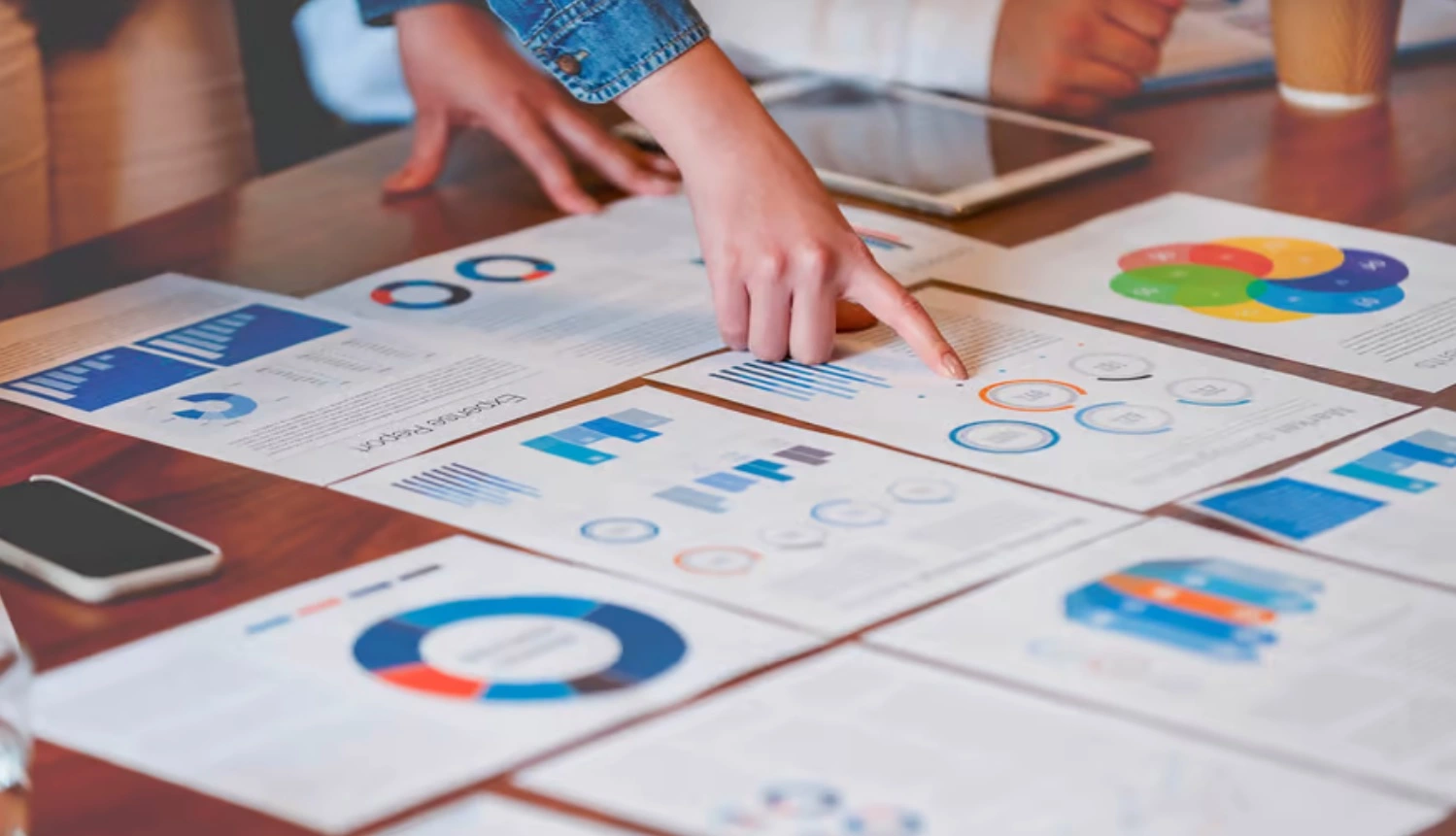 Plán projektu a přezkum