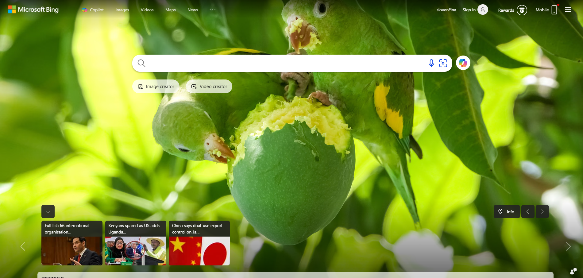 Kontakty na podporu Bing