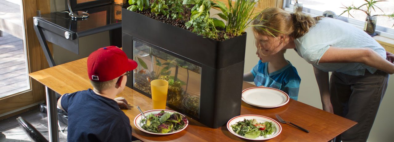 Udržitelnost AquaSprouts