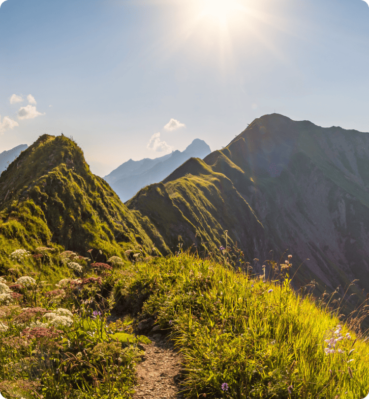 Jak ZlavaDna zlepšila zákaznickou podporu s LiveAgent