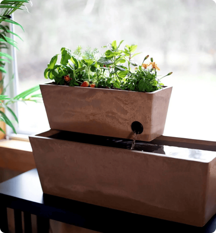 Jak AquaSprouts dosahuje 96,5% spokojenosti zákazníků s LiveAgentem